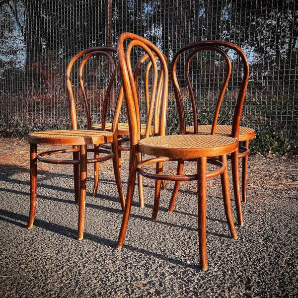 4 chaises de bistrot cannées vintages Style n°18 Thonet
