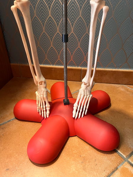 Squelette d'anatomie humaine - Editions RBA France - 2013