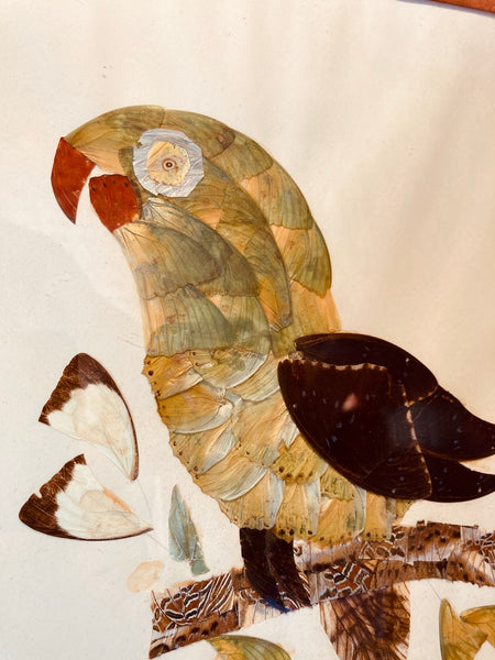 Paire de cadres / tableaux vintages en marqueterie d'ailes de papillons - M. NDokaye - 1971