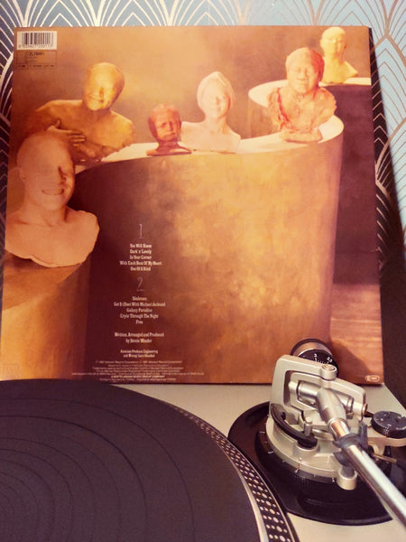 Vinyle 33 tours Stevie Wonder "Characters" 1987 - Le Sélectionneur - Brocante en ligne