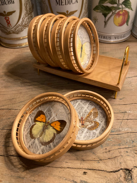 Ensemble de 6 sous-verres vintages papillons en bambou et leur support