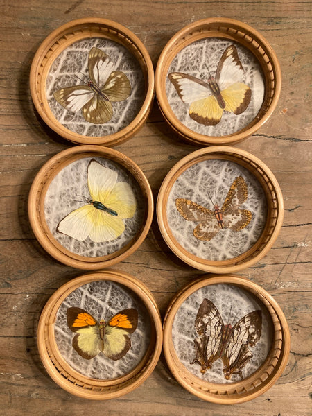 Ensemble de 6 sous-verres vintages papillons en bambou et leur support