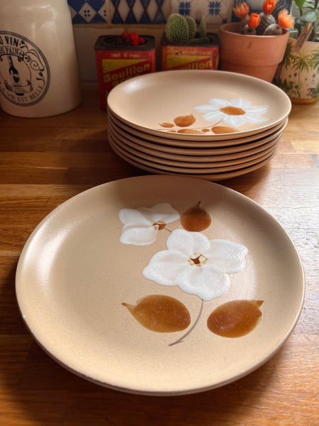 8 assiettes plates vintages en grès Moulin des Loups Orchies