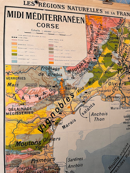 Carte / affiche scolaire vintage "Midi Méditerranéen et Corse" Kaeppelin et Deffontaines / Hatier N°6