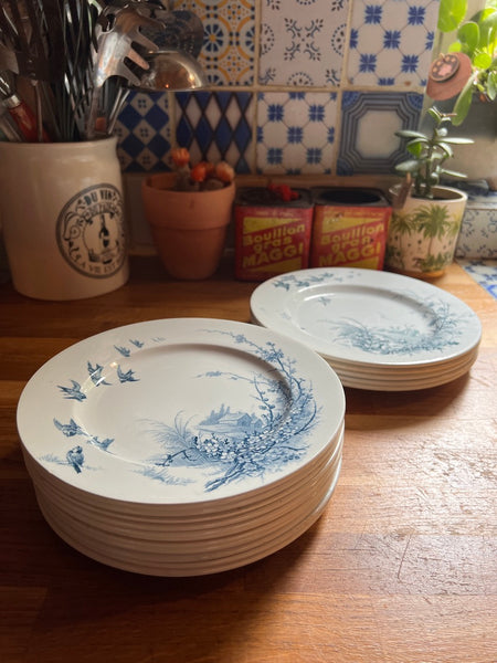 Service de 16 assiettes vintages en faïence Terre de Fer Emile BOURGEOIS Grand Dépôt - 1900/1910