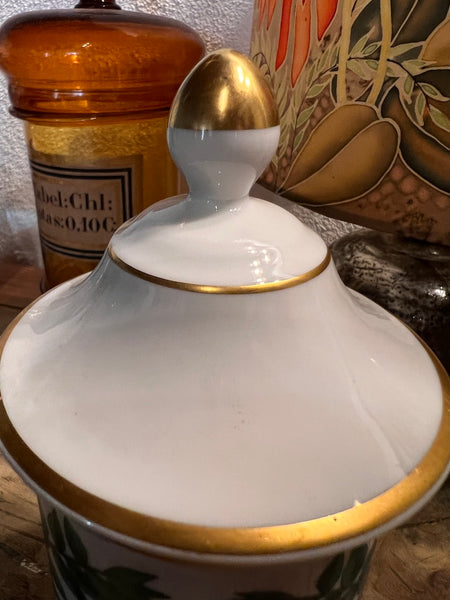 Pot d'apothicaire / de pharmacie vintage Ext. Ruscus ac. en porcelaine de Limoges - 1950/60