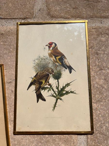 Lot de 7 cadres en laiton vintages botaniques et ornithologiques - Années 50