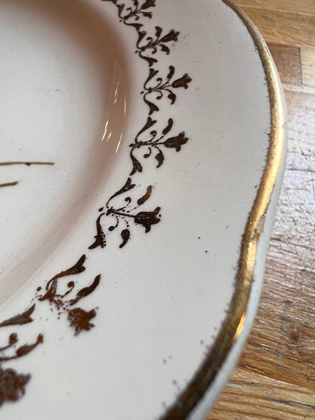6 assiettes à dessert vintages Sarreguemines France en faïence aux motifs de roses