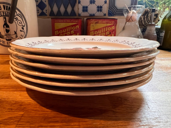 6 assiettes à dessert vintages Sarreguemines France en faïence aux motifs de roses